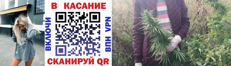 Метадон Вытегра