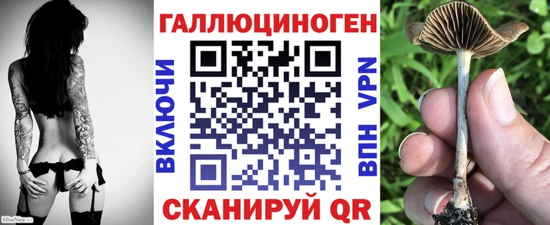 Галлюциногенные грибы прущие грибы  закладка  Вытегра 